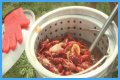 Cajun Fest moves to Iowa State Fairgrounds’ venue