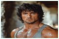 How Tall Is Sylvester Stallone? Uncovering The Truth Behind His Height